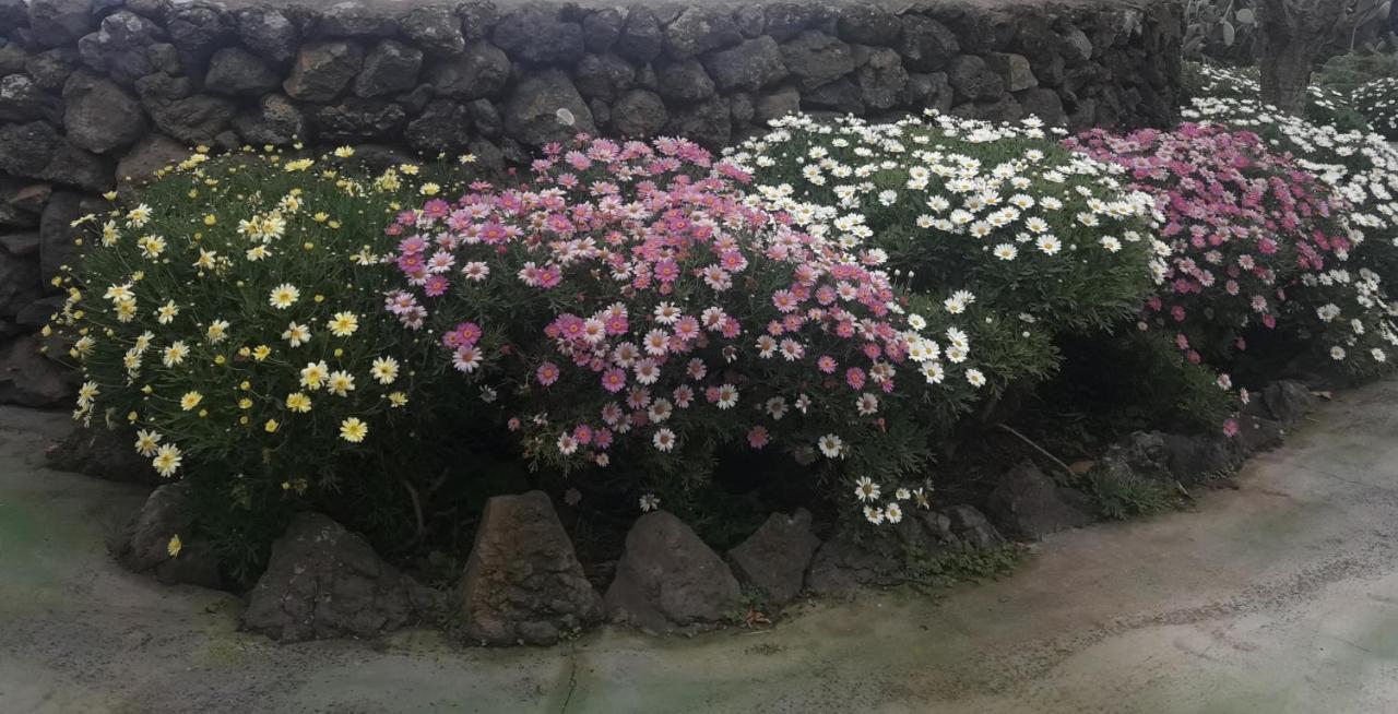 Casa El Vallito Guarazoca Kültér fotó